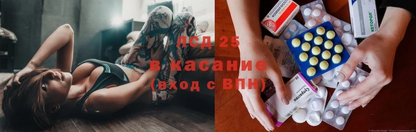 дмт Верея