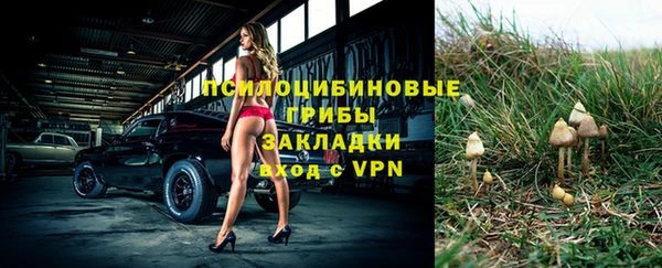 тгк Бугульма