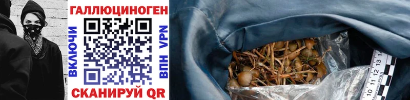 кракен зеркало  Волгореченск  Галлюциногенные грибы Psilocybe  где продают наркотики 
